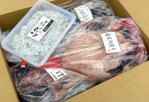 ふかくらのひものギフト