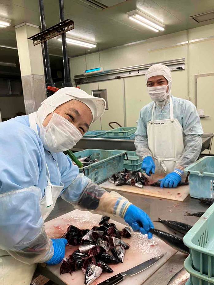 ふかくら干物作り